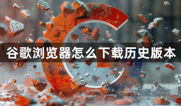 谷歌浏览器怎么下载历史版本1