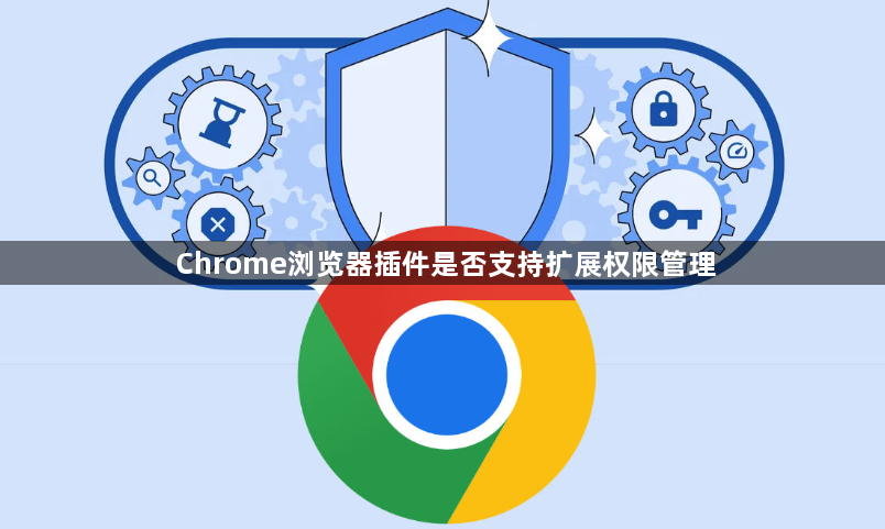 Chrome浏览器插件是否支持扩展权限管理1