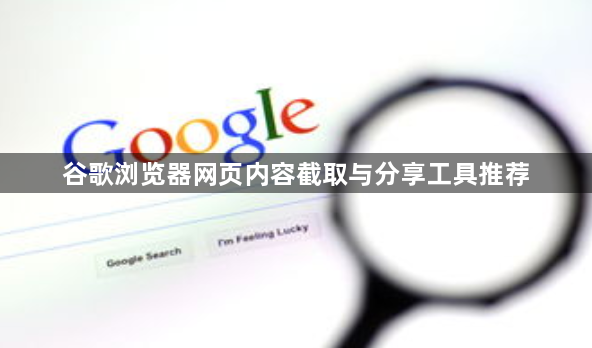 谷歌浏览器网页内容截取与分享工具推荐1