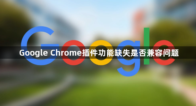 Google Chrome插件功能缺失是否兼容问题1