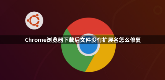 Chrome浏览器下载后文件没有扩展名怎么修复1