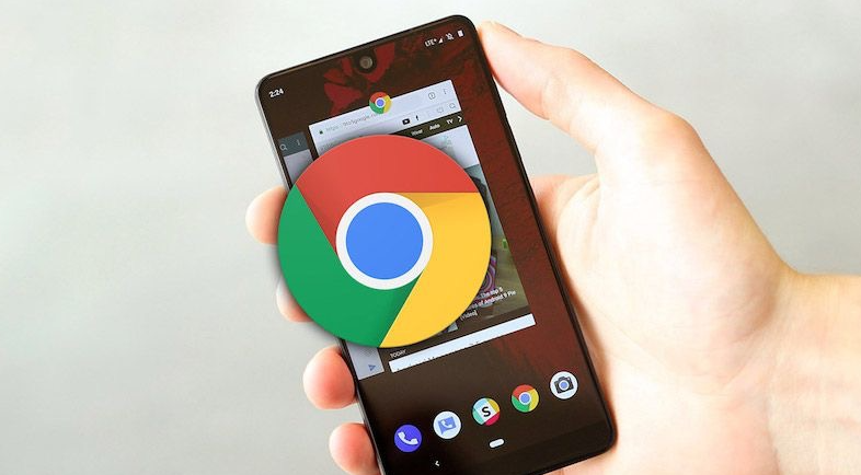 google Chrome浏览器下载插件兼容性解决方案