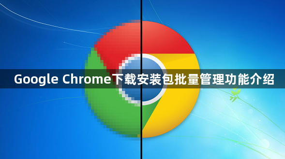 Google Chrome下载安装包批量管理功能介绍1