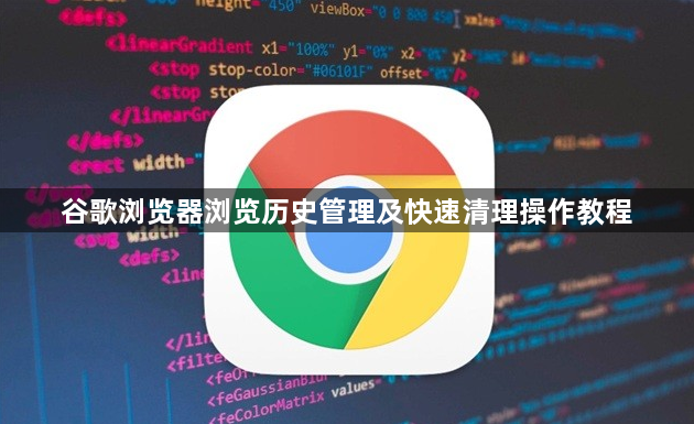 谷歌浏览器浏览历史管理及快速清理操作教程1
