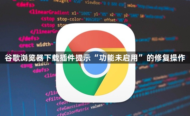 谷歌浏览器下载插件提示“功能未启用”的修复操作1