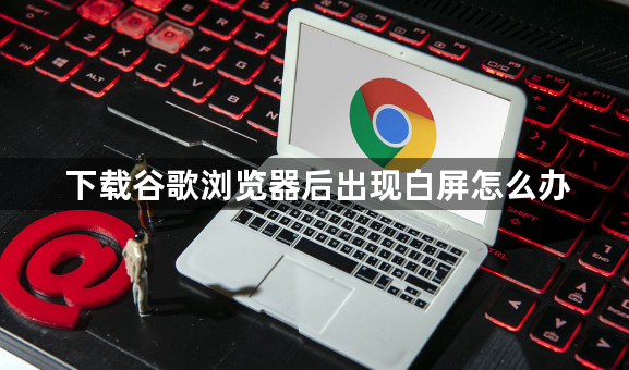 下载谷歌浏览器后出现白屏怎么办1