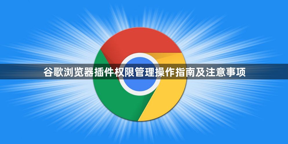 谷歌浏览器插件权限管理操作指南及注意事项1