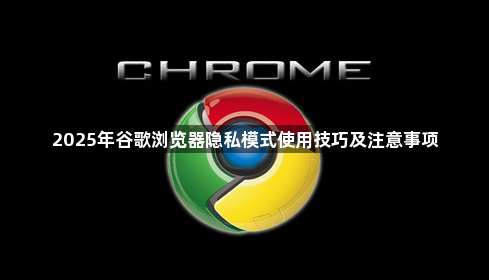2025年谷歌浏览器隐私模式使用技巧及注意事项1