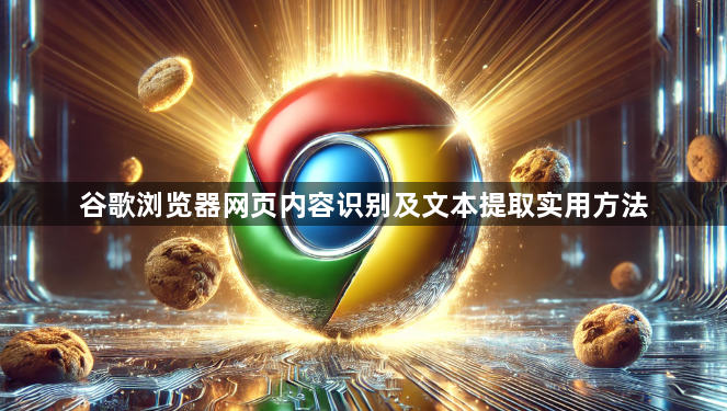 谷歌浏览器网页内容识别及文本提取实用方法1