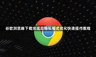 谷歌浏览器下载完成后隐私模式优化快速操作教程1