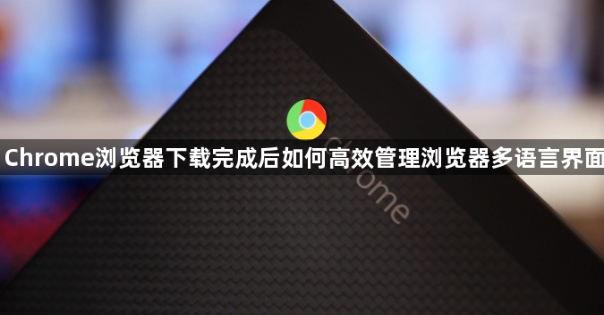 Chrome浏览器下载完成后如何高效管理浏览器多语言界面1