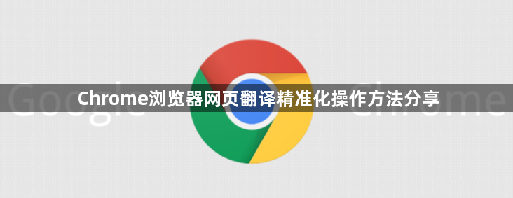 Chrome浏览器网页翻译精准化操作方法分享1