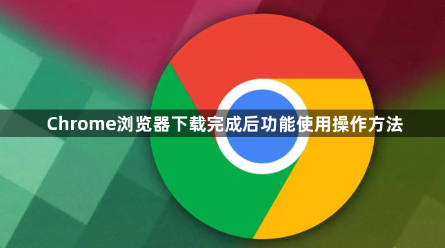Chrome浏览器下载完成后功能使用操作方法1