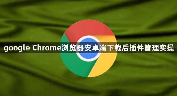 google Chrome浏览器安卓端下载后插件管理实操1