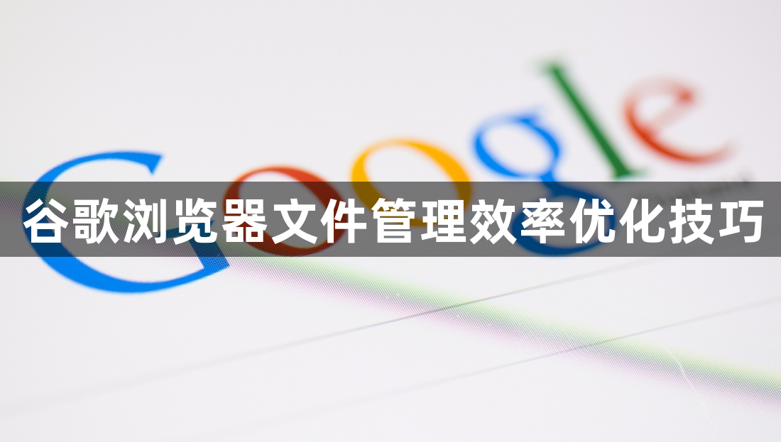 谷歌浏览器文件管理效率优化技巧1