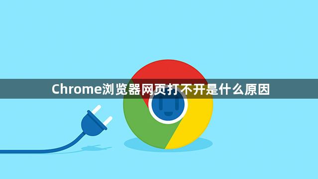 Chrome浏览器网页打不开是什么原因1