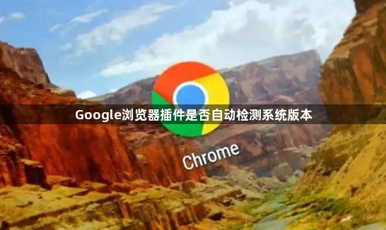 Google浏览器插件是否自动检测系统版本1