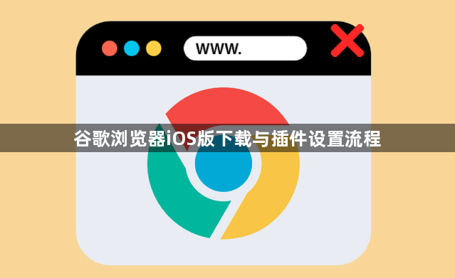 谷歌浏览器iOS版下载与插件设置流程1