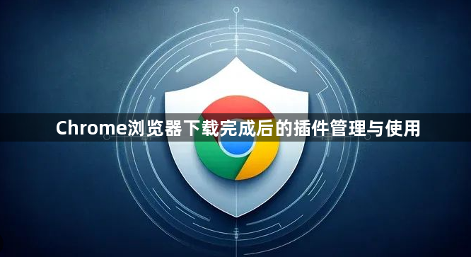 Chrome浏览器下载完成后的插件管理与使用1