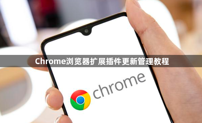 Chrome浏览器扩展插件更新管理教程1