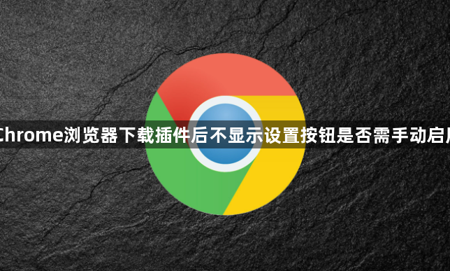 Chrome浏览器下载插件后不显示设置按钮是否需手动启用1