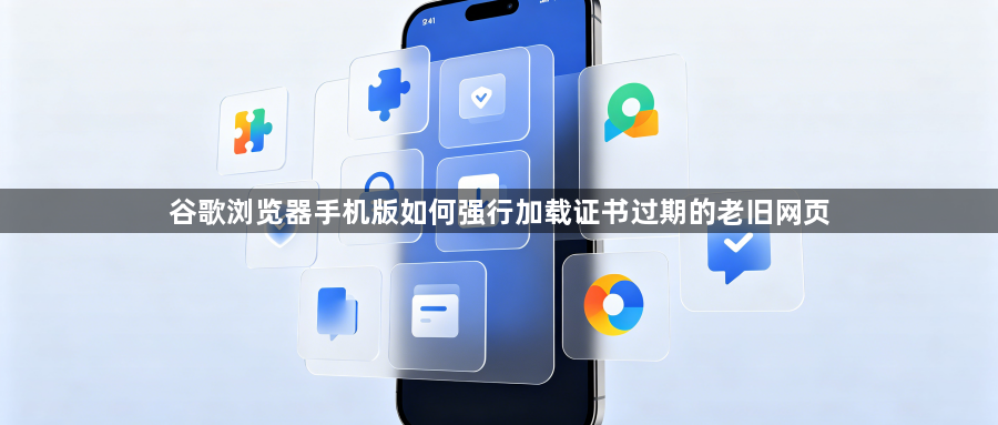 谷歌浏览器手机版如何强行加载证书过期的老旧网页1