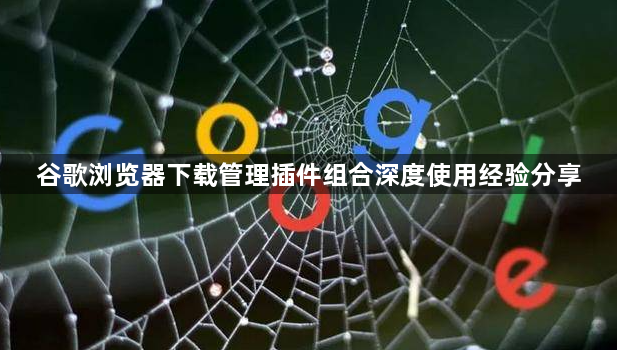 谷歌浏览器下载管理插件组合深度使用经验分享1